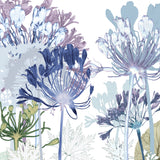 Agapanthus Path Print