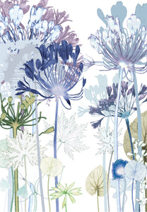 Agapanthus Path Print