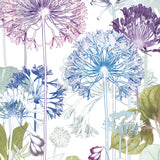 Agapanthus Trail Print