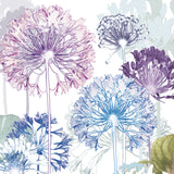 Agapanthus Trail Print