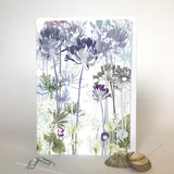 Agapanthus Greetings Card