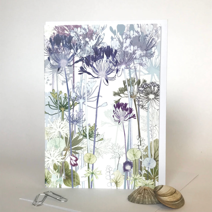 Agapanthus Greetings Card