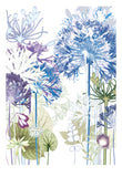 Agapanthus Forest Reproduction Print