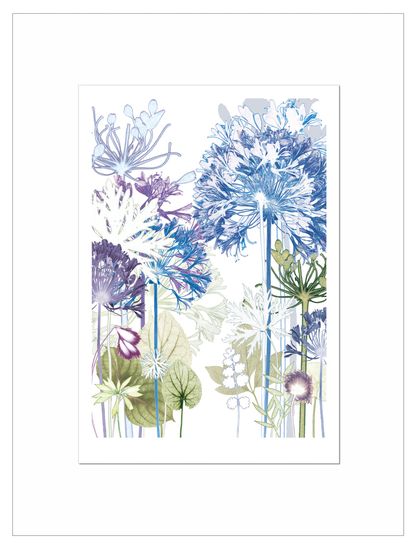 Agapanthus Forest Reproduction Print