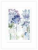Agapanthus Path Print