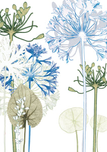 Agapanthus Forest 'Post it On' Card