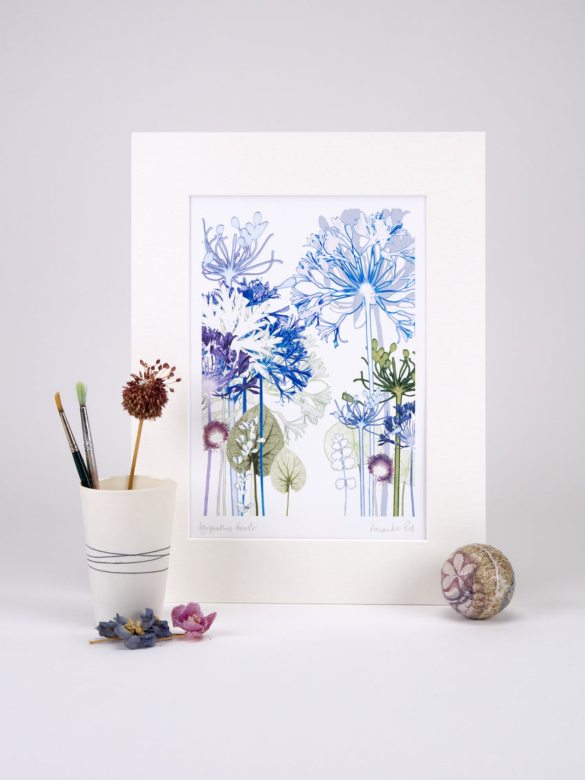 Agapanthus Forest Reproduction Print