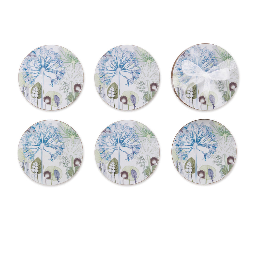 Agapanthus Forest Coasters