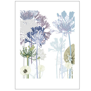 Agapanthus Path Print