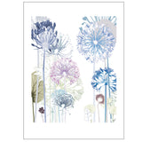 Instagram give away @bluegraygal