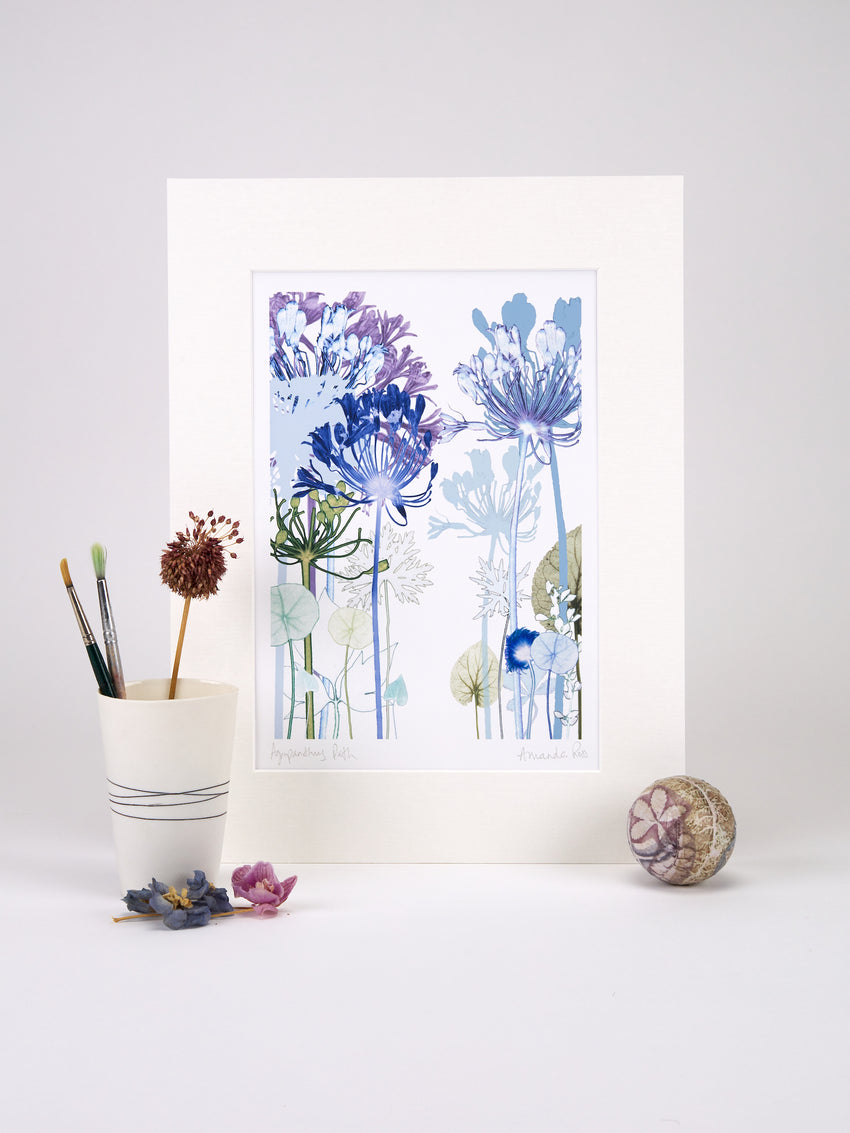Agapanthus Path Print