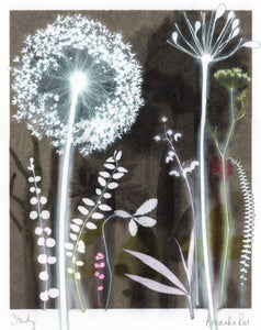 Study with Allium