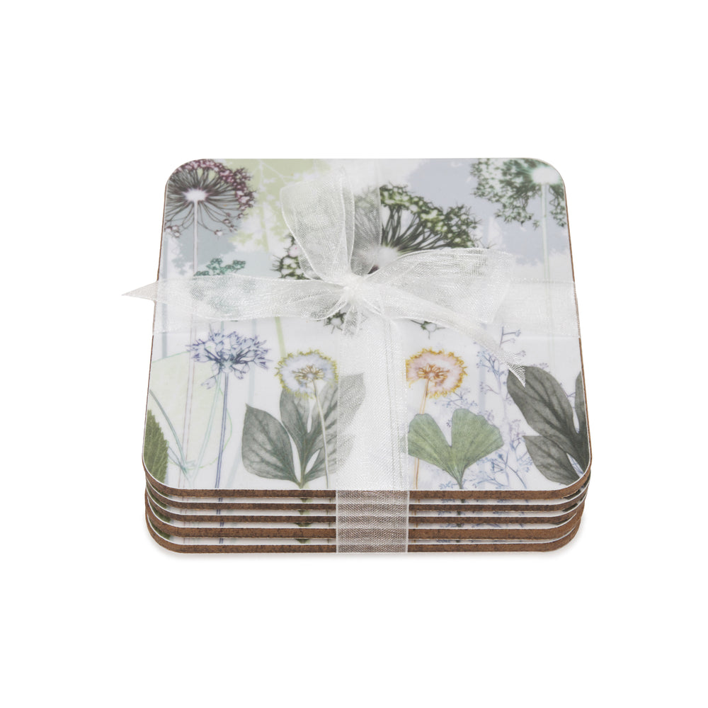Allium Coasters