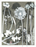 Allium Forest Study Original Print 40 x 50 cm
