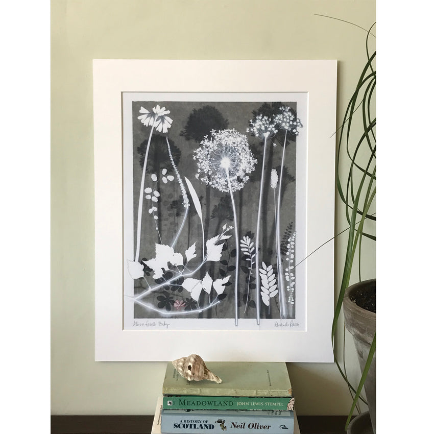 Allium Forest Study Original Print 40 x 50 cm