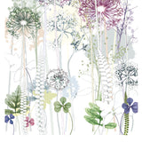 Allium Garden