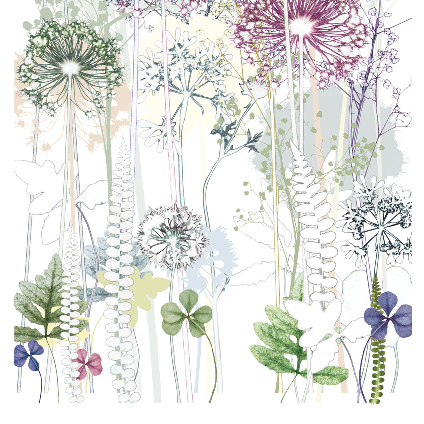 Allium Garden