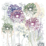 Allium Garden