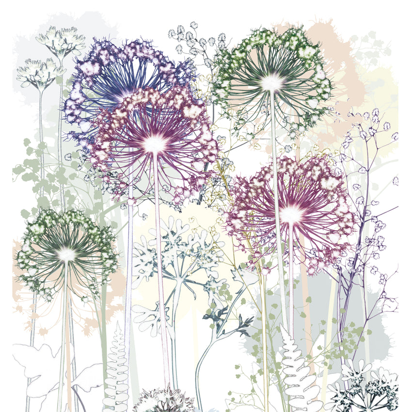 Allium Garden