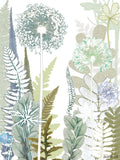 Allium Jungle Reproduction Print