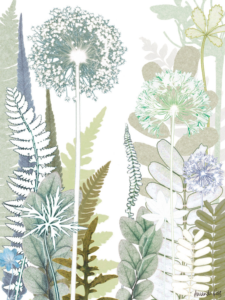 Allium Jungle Reproduction Print