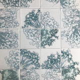 Allium Pieces 1