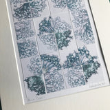 Allium Pieces 1
