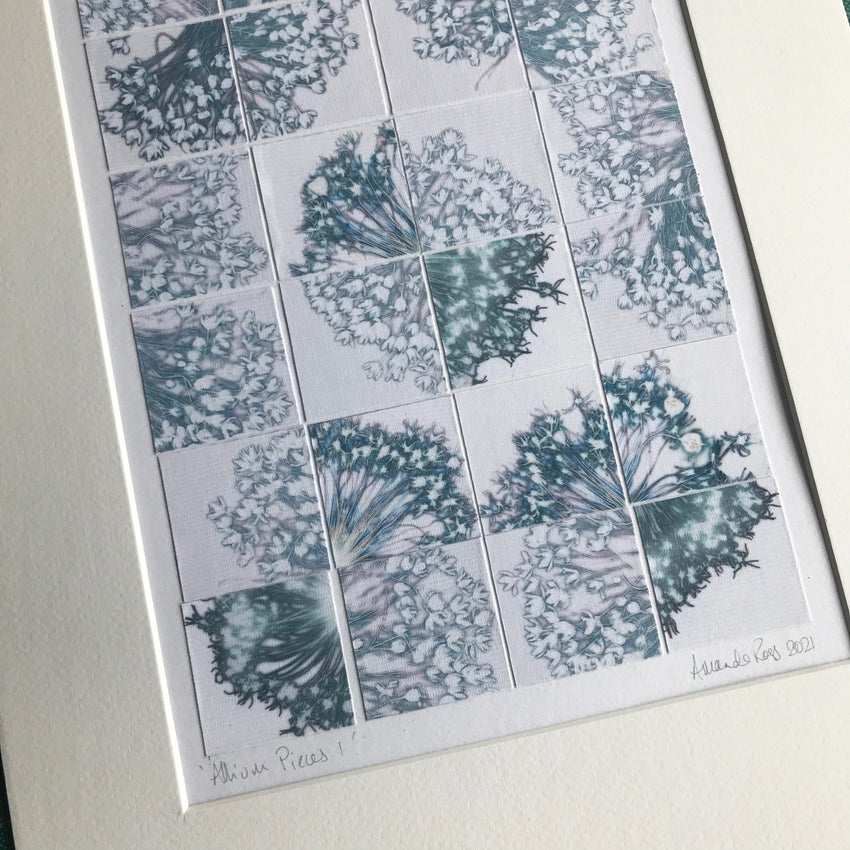 Allium Pieces 1