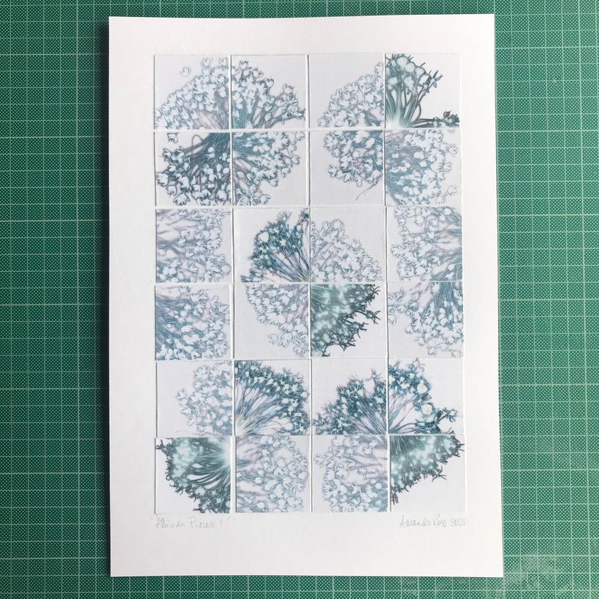 Allium Pieces 1
