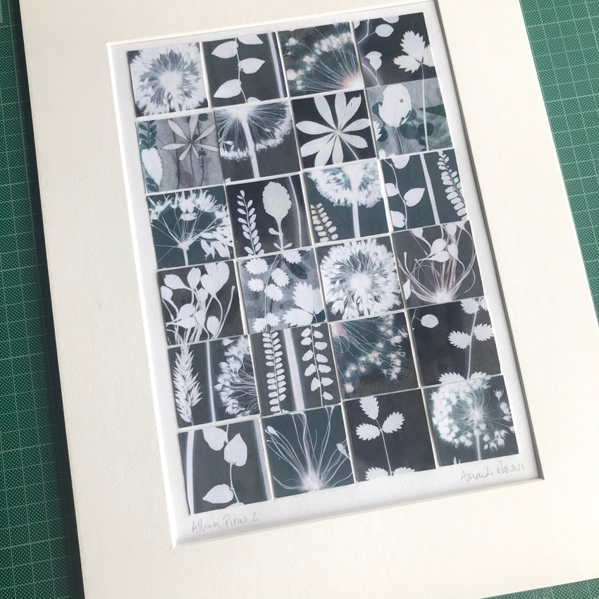 Allium Pieces 2