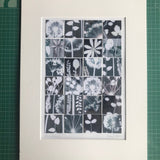 Allium Pieces 2