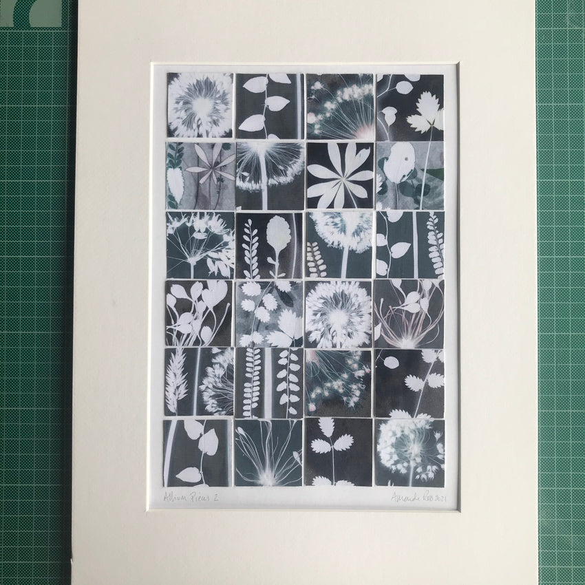 Allium Pieces 2