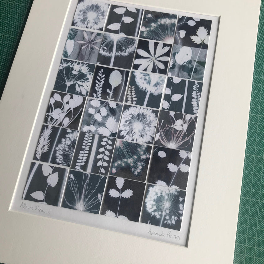 Allium Pieces 2