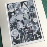 Allium Pieces 3