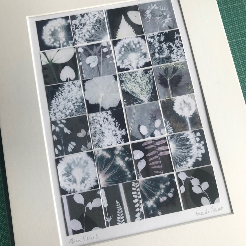 Allium Pieces 3