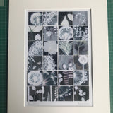 Allium Pieces 3