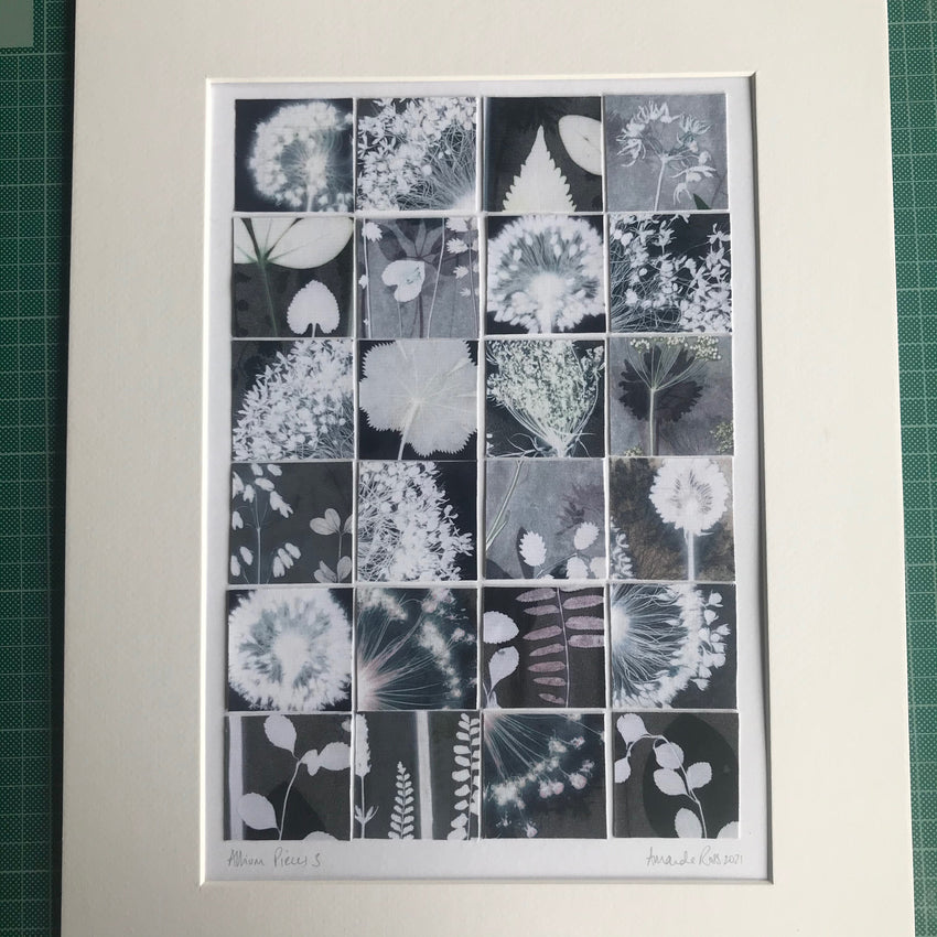 Allium Pieces 3