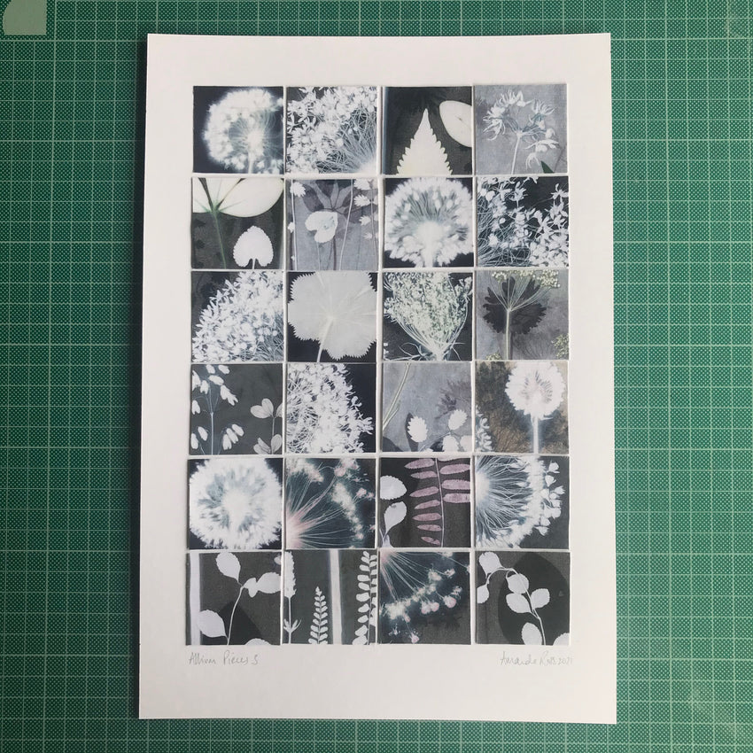 Allium Pieces 3