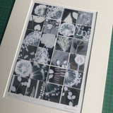 Allium Pieces 3