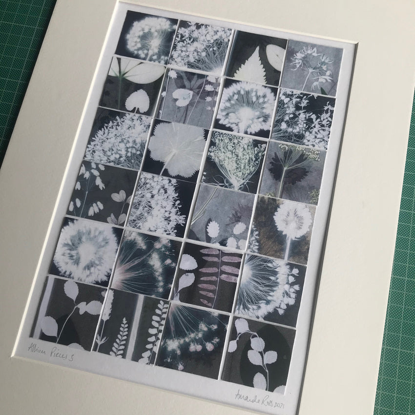 Allium Pieces 3
