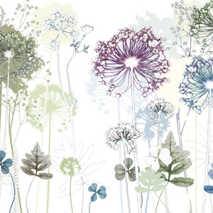 'Allium Ramble' Limited Edition Landscape Print