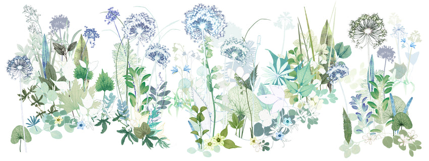 Allium Maze