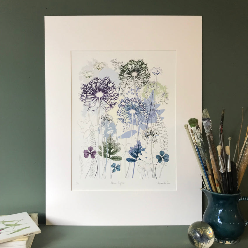 Allium Coppice print