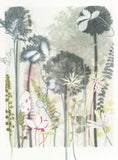 Allium Shadows with Grass, 30 x 40 cm