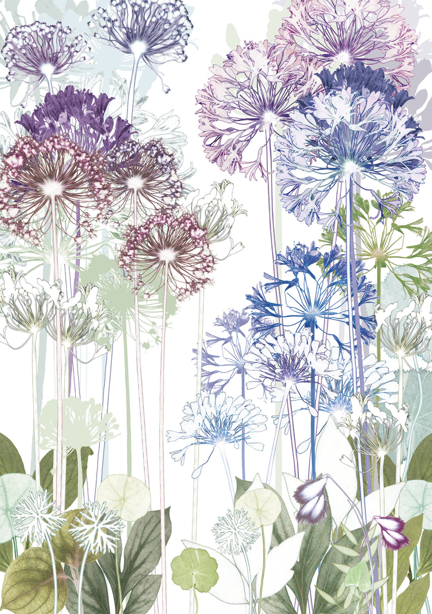 Alliums Greetings Card