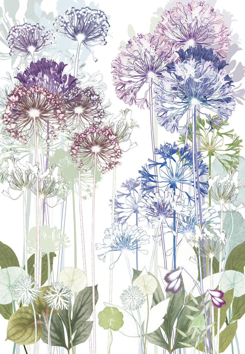 Allium Print