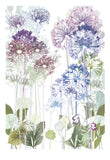 Allium Print