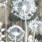 Alliums By Night, Print