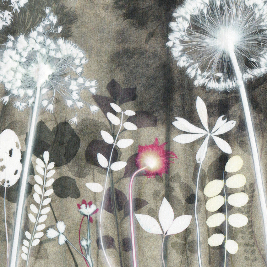 Alliums By Night, Print