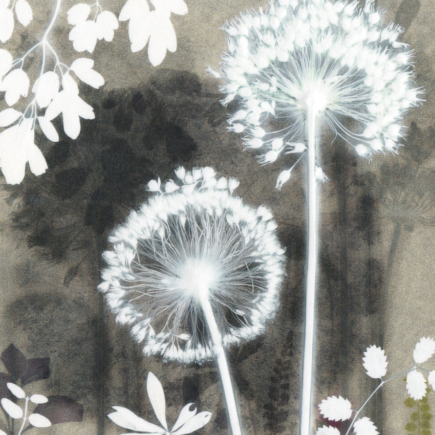 Alliums By Night, Print